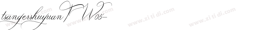 tsangershuyuanT W05字体转换